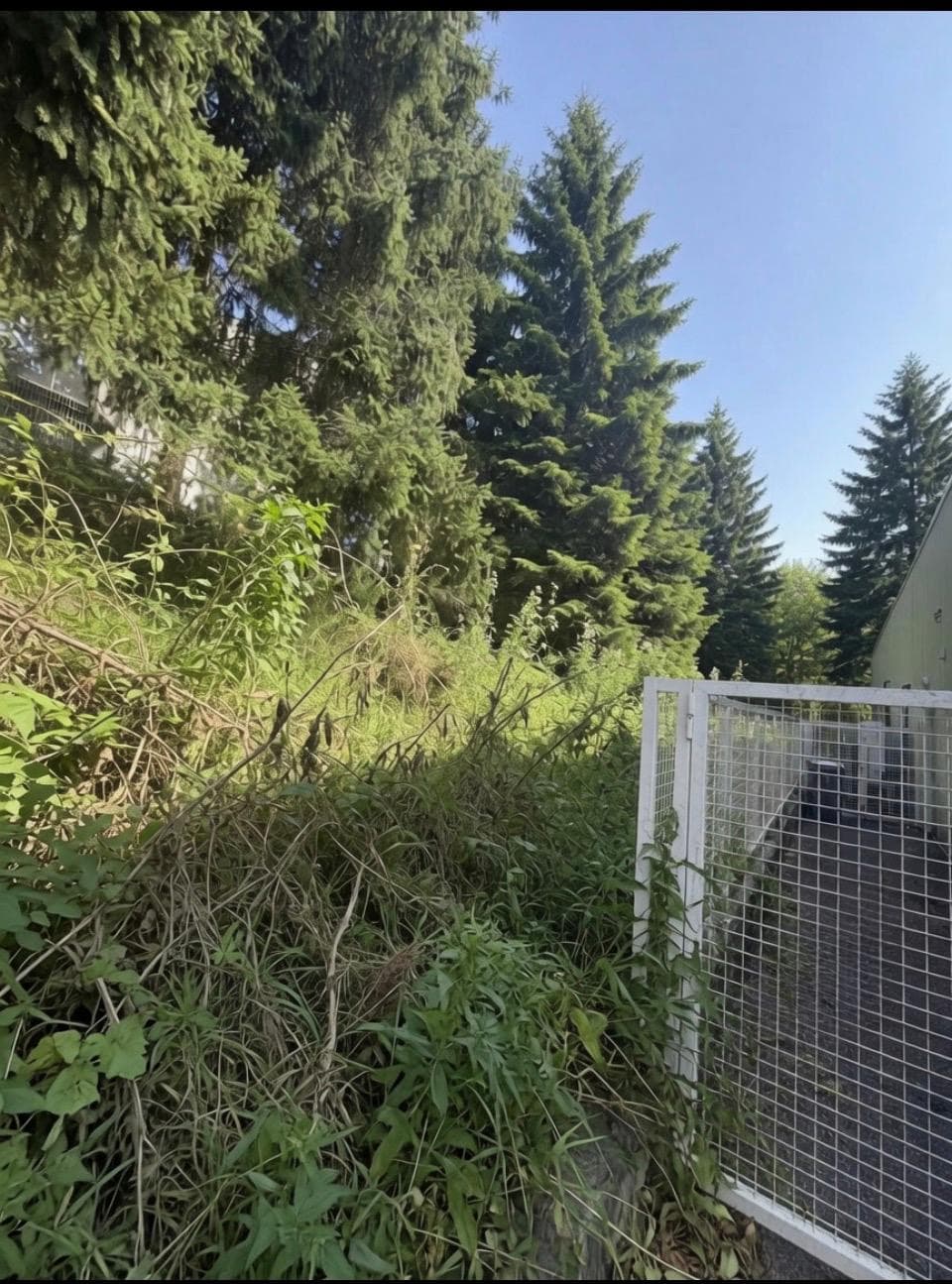 Chantier JM Élagage Douvaine — réalisation 1