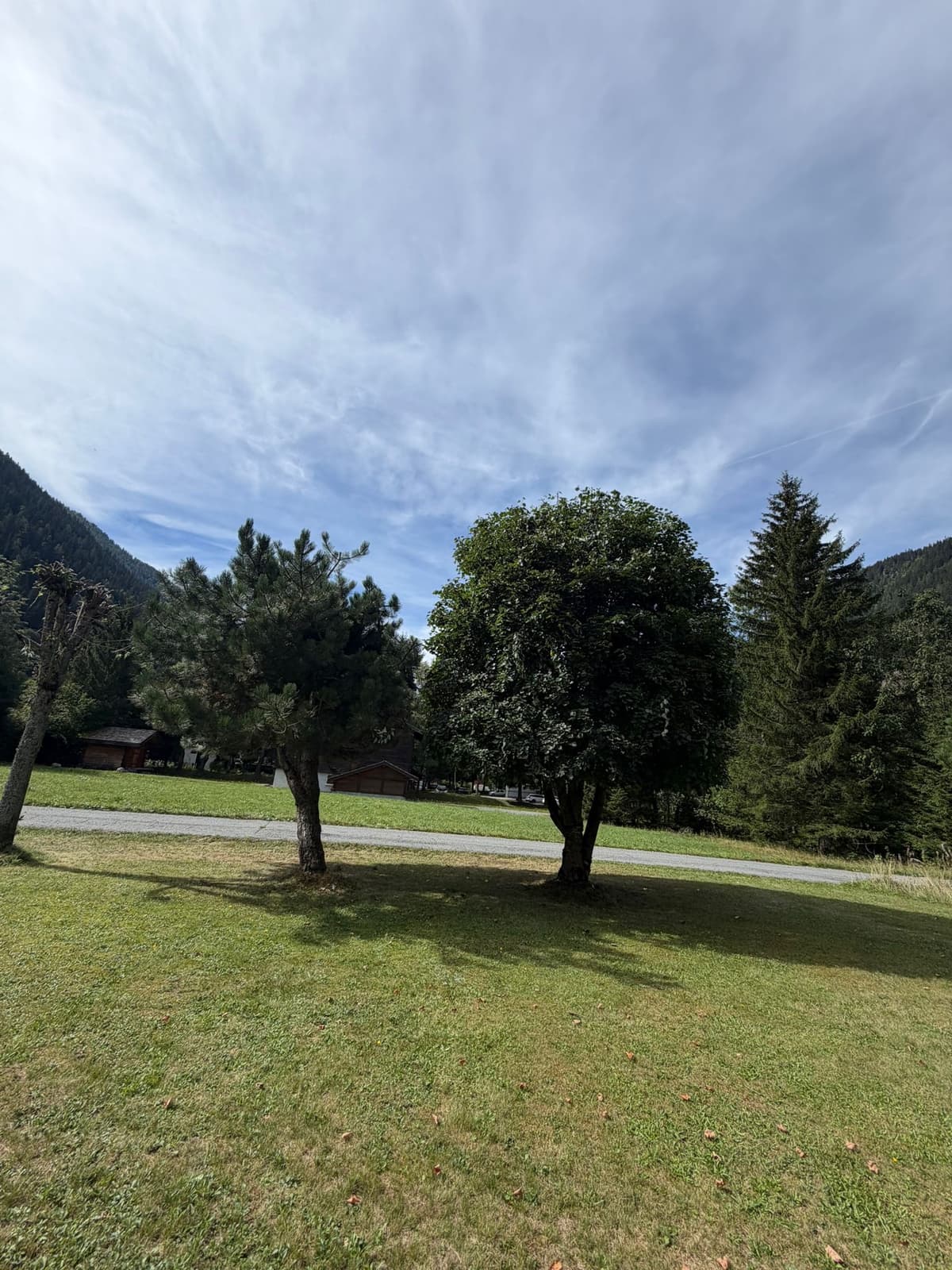 Chantier JM Élagage Douvaine — réalisation 7