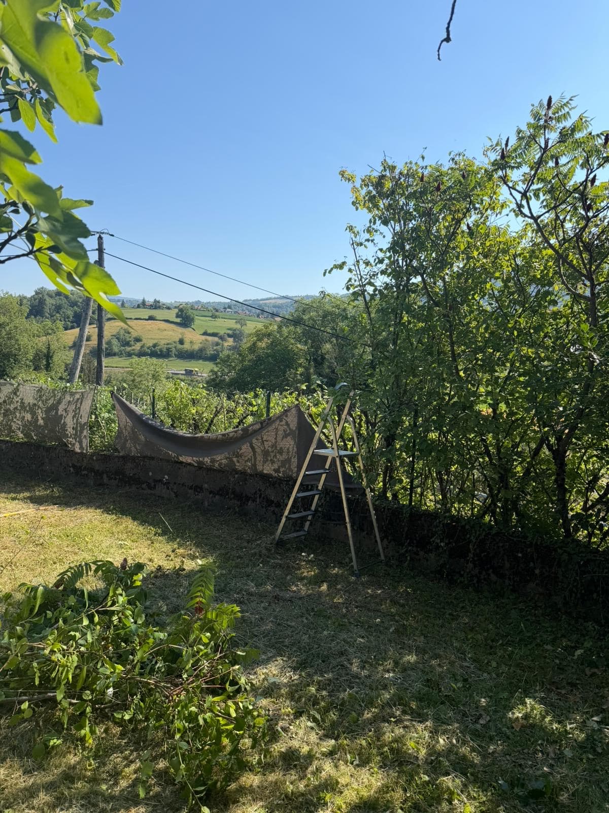 Chantier JM Élagage Douvaine — réalisation 6